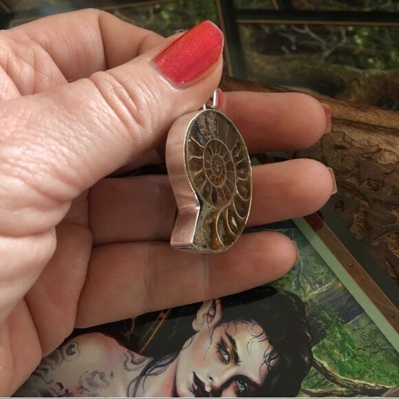 Ammonite Fossil Silver Pendant - Picture 4 of 5